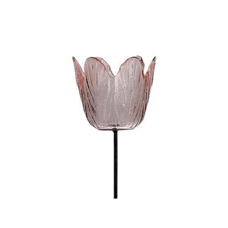 HBXD Stem Tealight Tulipa H47.5D8.5
