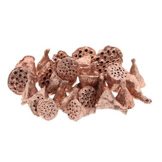 HBXD Lotus Mini Glitter 50pc