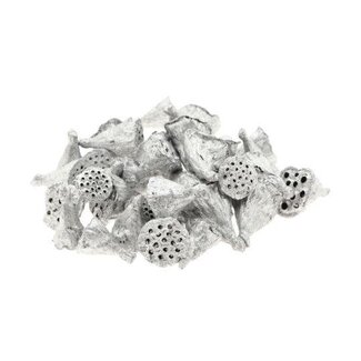 HBXD Lotus Mini Glitter 50pc