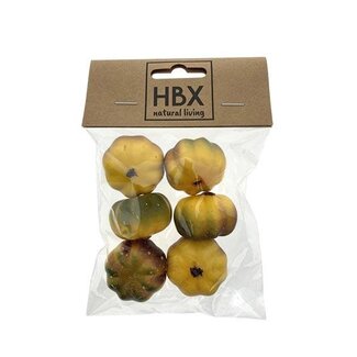 HBXD Pumpkin Fall Mix 6pcs H2D3.5