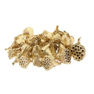 HBXD Lotus Mini Glitter 50pc