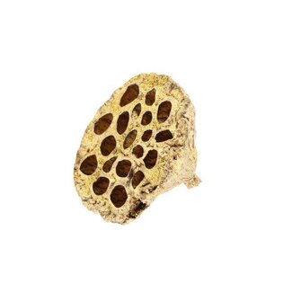 HBXD Hobby Lotus Glitter 8/10cm 1pc