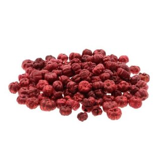 HBXD Putka Pods Glitter 500g