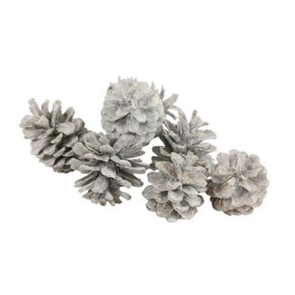 HBXD Pinecone Oostenrijker 5kg