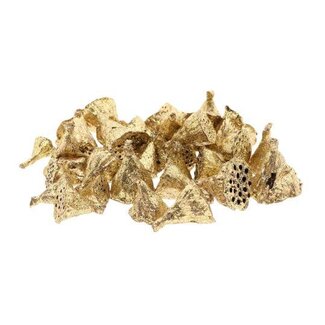HBXD Lotus Mini Glitter 200pc