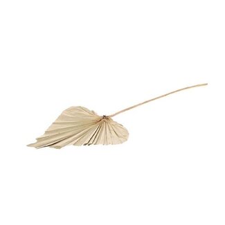 HBXD Branch Palm Spear L57W22