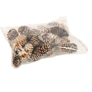 HBXD Pinecone Spruce 150g L6
