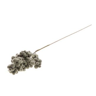 HBXD Stem Frost Berry L65