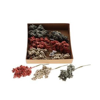HBXD Stem Frost Berry L14W8H8