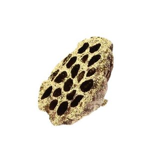 HBXD Hobby Lotus Glitter 8/10cm 1pc