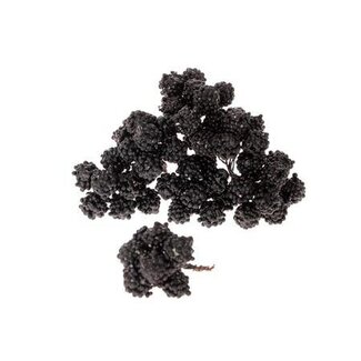 HBXD Stem Raspberrie 64 Pcs L10D2