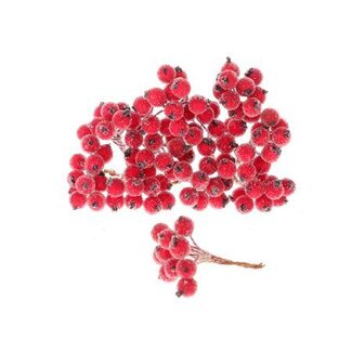 HBXD Stem Berrie 120 Pcs L10D1