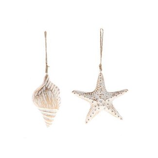 HBXD Hanger Starfish/Shell 2Ass L8W8H16