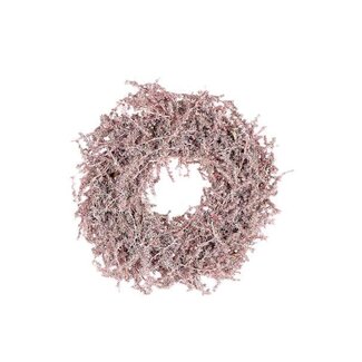 HBXD Wreath Asparagus D20
