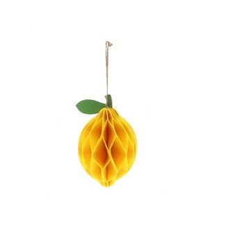 HBXD Hanger Lemon L12W12H20