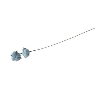 HBXD Stem Cotton 2 Heads L50
