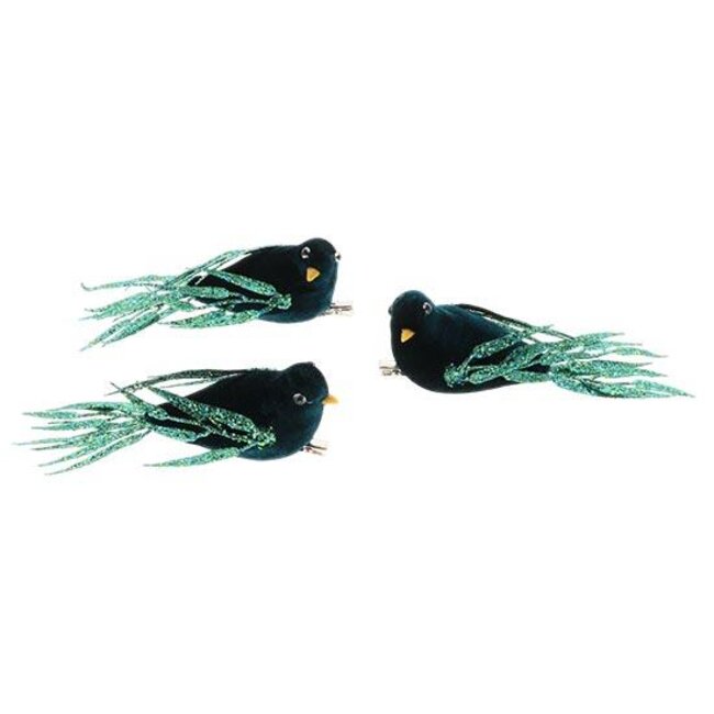 Bird Regalia 3pcs L15W15H6