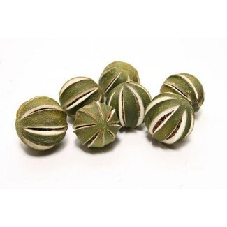HBXD Lime Whole 250gr