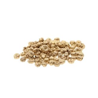 HBXD Hobby Putka Pods Glitter 20g