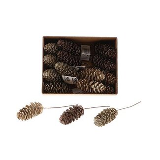 HBXD Pinecone Dinan Glitter L7D3.5