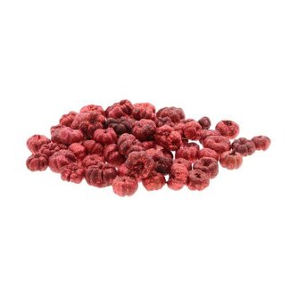 HBXD Hobby Putka Pods Glitter 20g