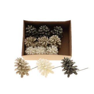 HBXD Pinecone Dinan Glitter L11D9