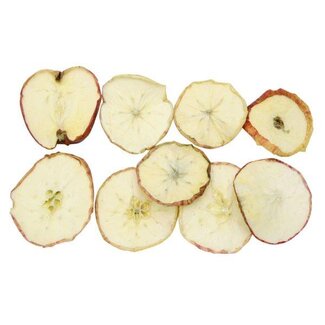 HBXD Hobby Apple Slices 9 Pcs