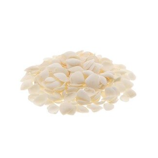 HBXD Shell Caycay 1kg