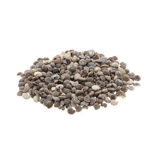 HBXD Shell Umbonium 1kg