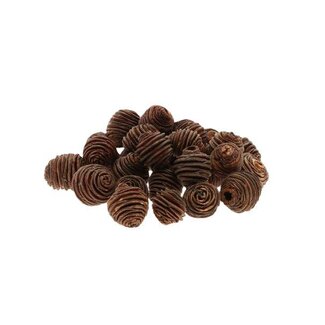 HBXD Platyspernum Loose 500gr