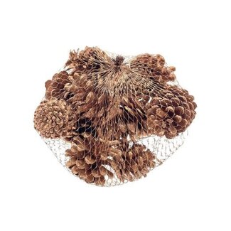 HBXD Pinecone Oostenrijker 10pcs
