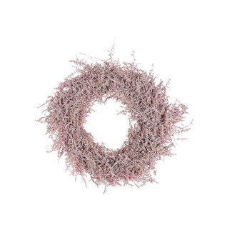 HBXD Wreath Asparagus D40