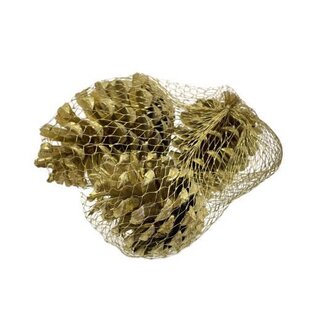HBXD Pinecone Maritima 3pcs L10