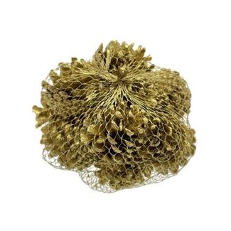 HBXD Pinecone Oostenrijker 10pcs