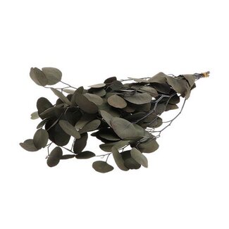 HBXD Bunch Euca Populus Pres.150g