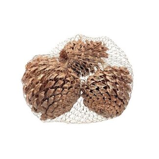 HBXD Pinecone Maritima 3pcs L10