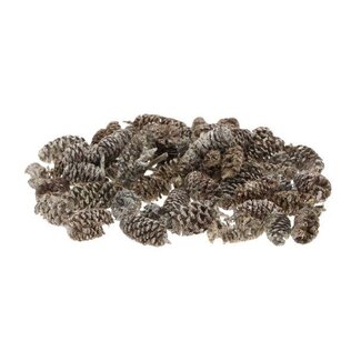 HBXD Hobby Pinecone Birch 30g