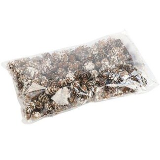 HBXD Pinecone Baby 150g L2