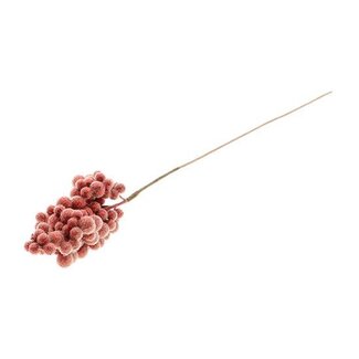 HBXD Stem Frost Berry L65