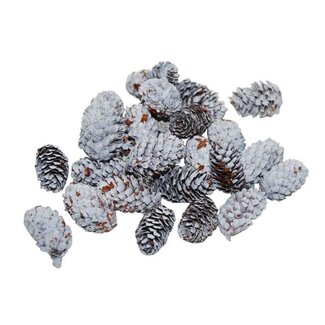 HBXD Pinecone Mini Spruce 180g L4