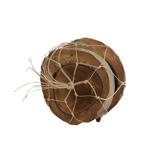 HBXD Coconut Half 2 Pcs H19D19