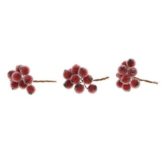 HBXD Stem Berrie 30Pcs L7D1.3