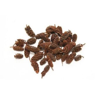 HBXD Pinecone Birch 300g