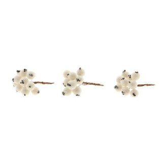 HBXD Stem Berrie 30Pcs L7D1.3