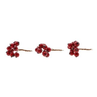 HBXD Stem Berrie 30Pcs L7D1.2
