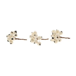 HBXD Stem Berrie 30Pcs L7D1.2