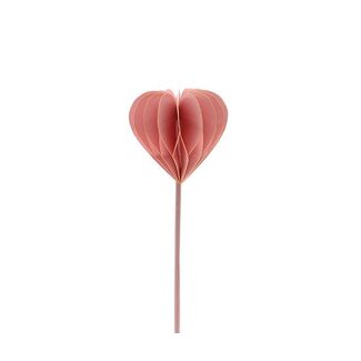 HBXD Stem Heart Foldy L50H7D3.5