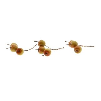 HBXD Stem Apple 9Pcs L10D3