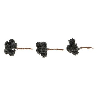 HBXD Stem Raspberrie 18Pcs L6D2