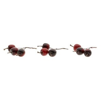 HBXD Stem Apple 9Pcs L10D3